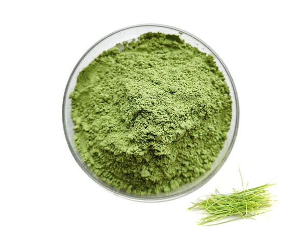 Wheatgrass Powder